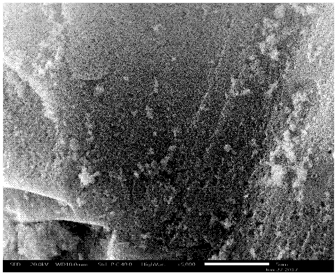 Foamed silicon powder and preparation method thereof and lithium-ion battery