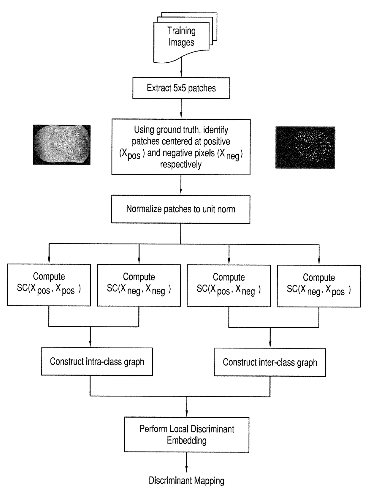 Measuring glomerular number from kidney MRI images