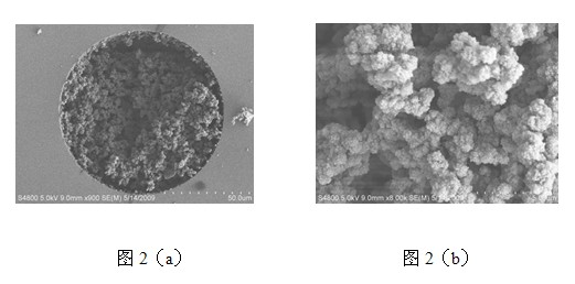 Hydrophylic phenylboric acid functional porous integral material, preparation method and application thereof