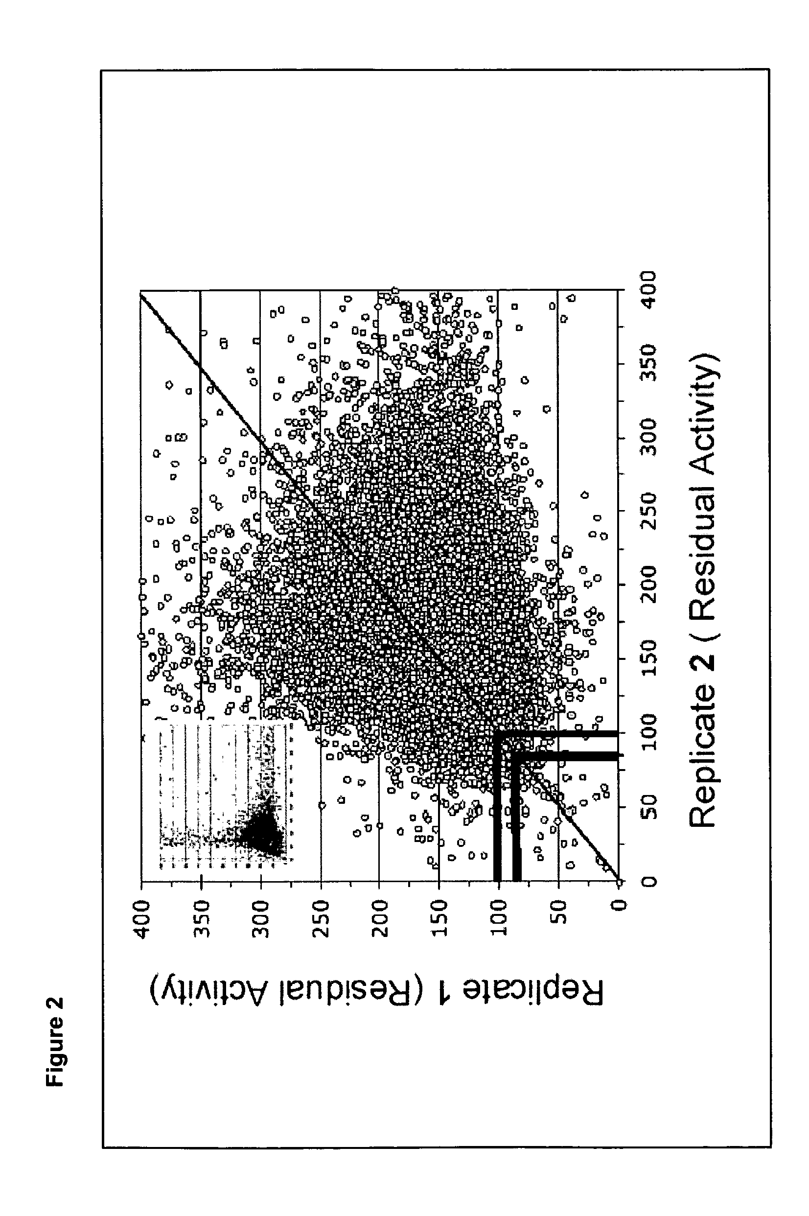 Real time methylumbelliferone-based assay