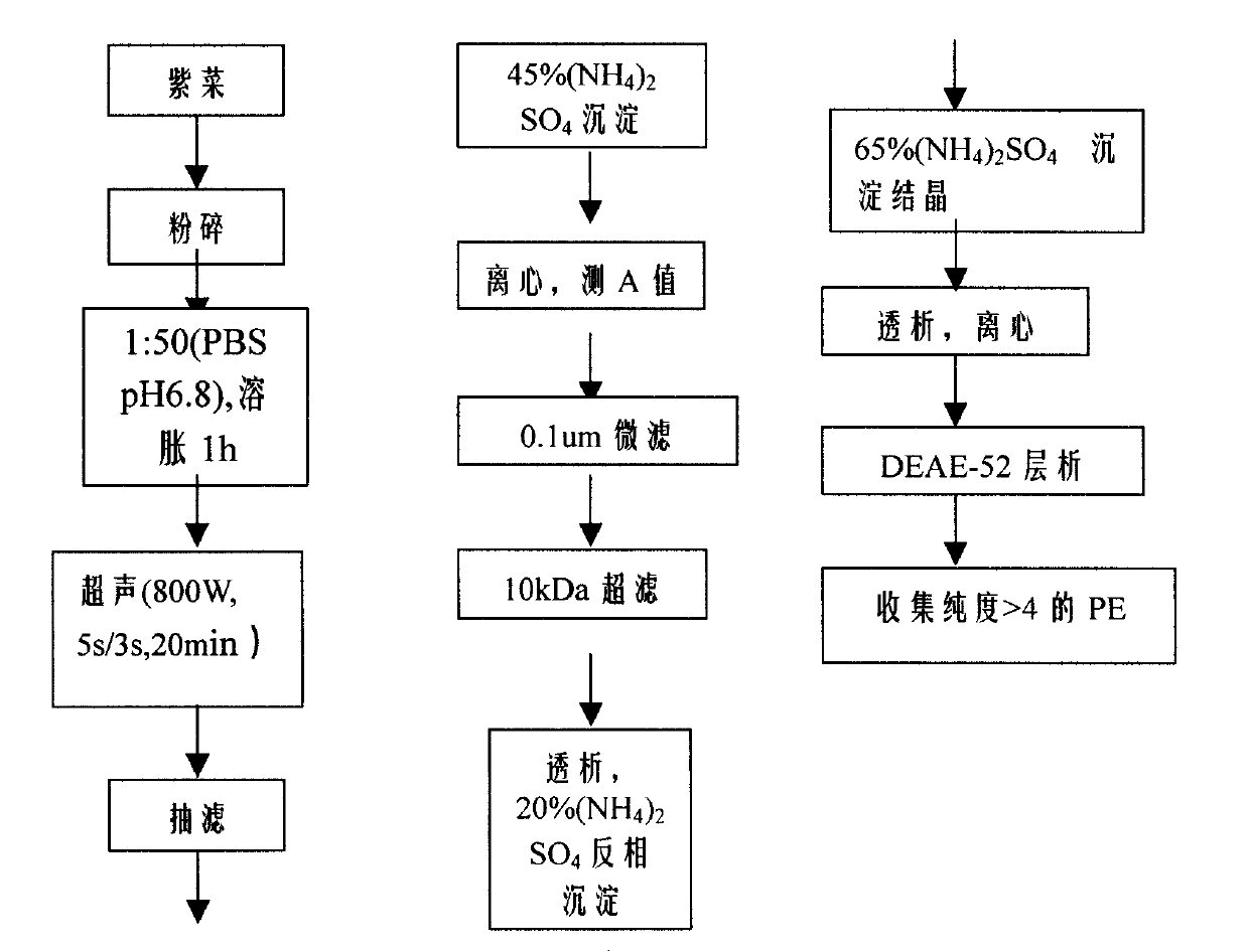 Preparation for high-purity laver phycoerythrin with one-step chromatography