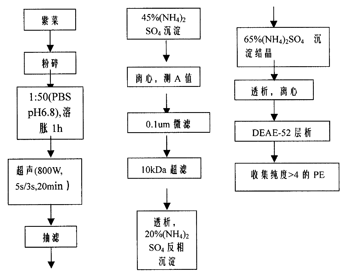 Preparation for high-purity laver phycoerythrin with one-step chromatography