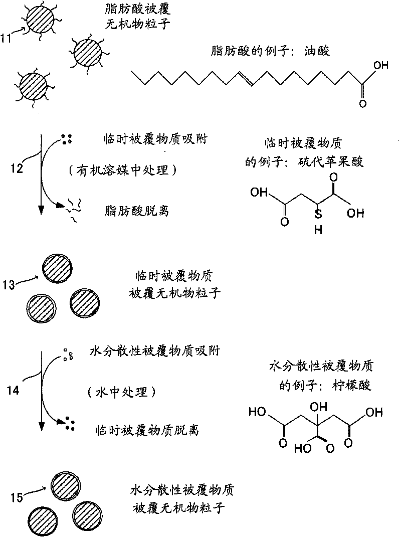 Process for production of surface-coated inorganic particles