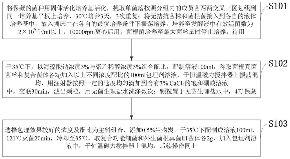 A kind of compound mycorrhizal biological fertilizer and its preparation method and application