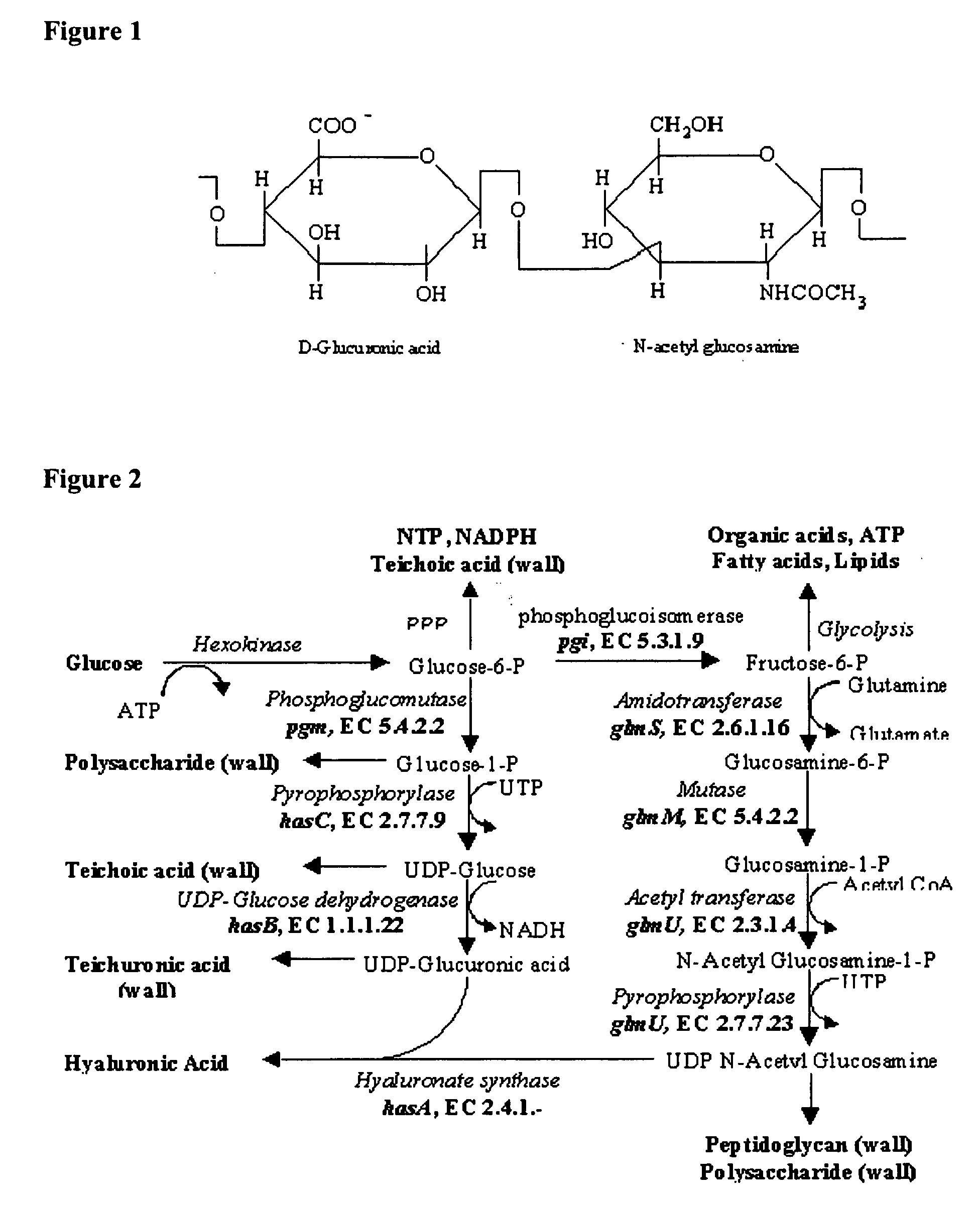 Optimisation of culture conditions for production and process of purification of high molecular weight hyaluronic acid