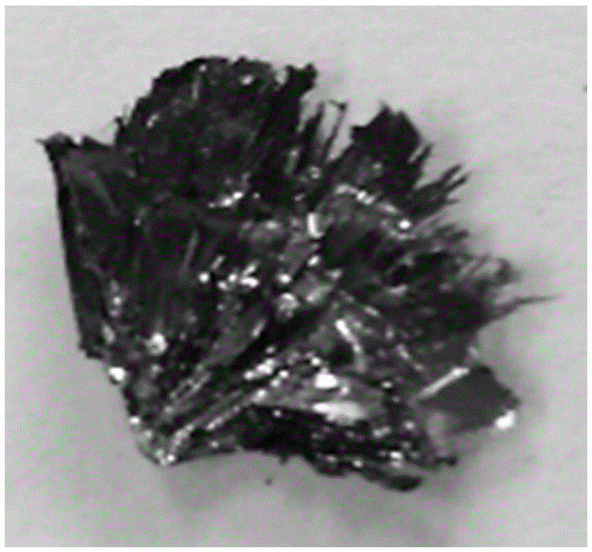 Method for growing monocrystal black phosphorus based on solid-source chemical vapor deposition method