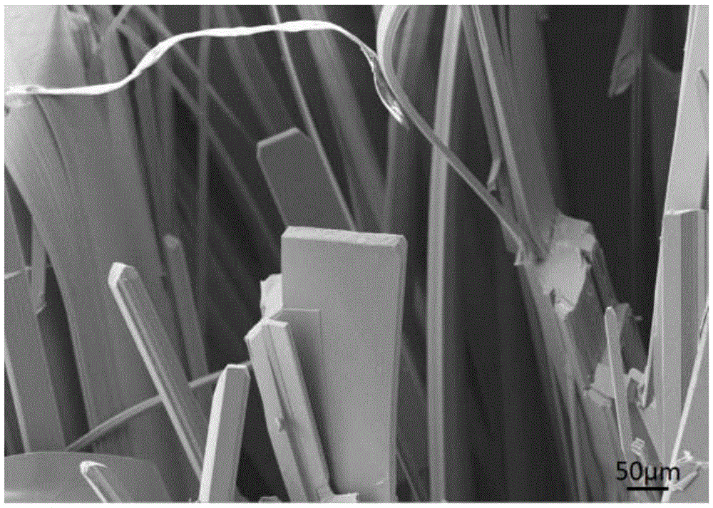 Method for growing monocrystal black phosphorus based on solid-source chemical vapor deposition method