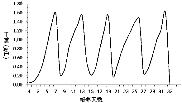 High-density continuous culture method and device for microalgae