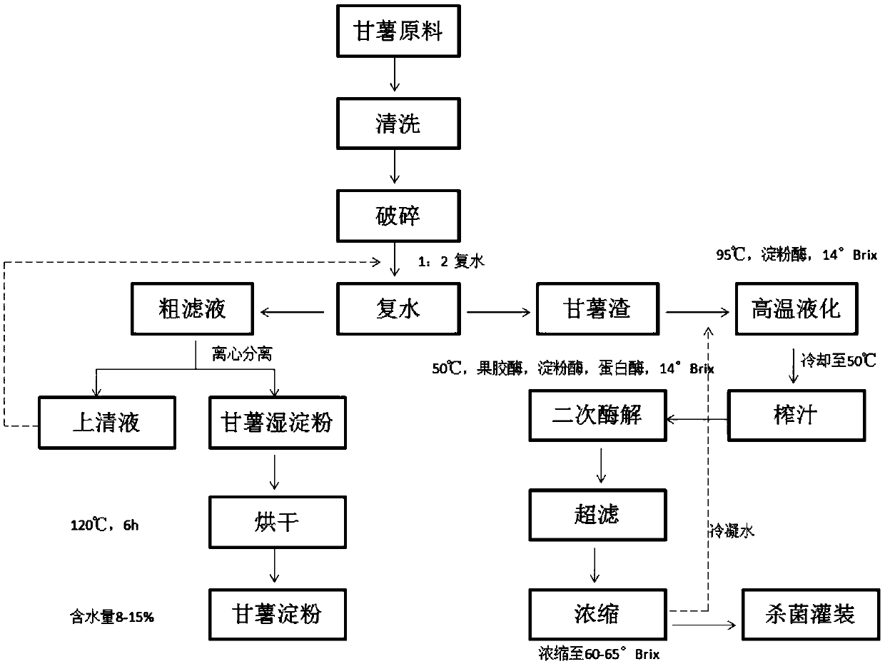 Process for synthetically utilizing sweet potato for multi-stage co-production of starch and concentrated clear juice