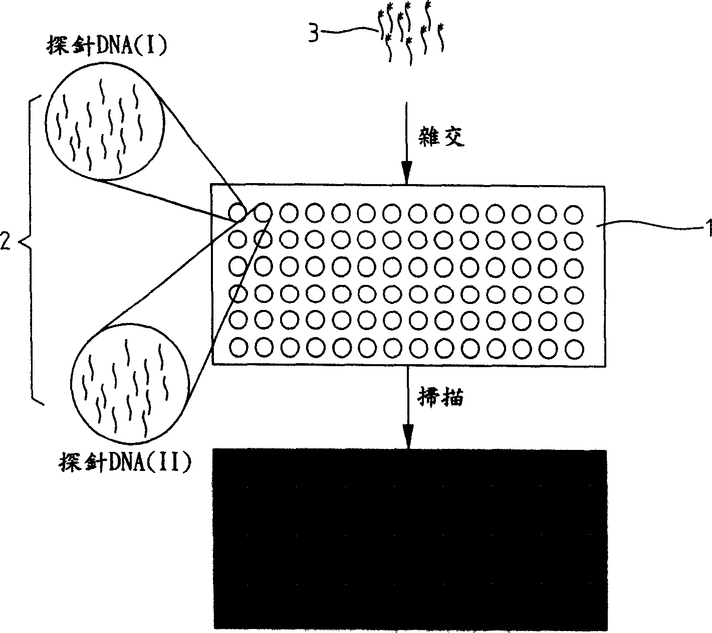 Scanning type biological chip instrument