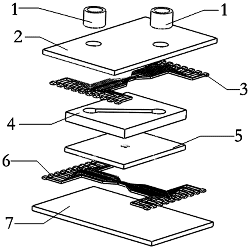 Fluid-enhanced dielectrophoretic single cell arrangement and control chip and making method thereof