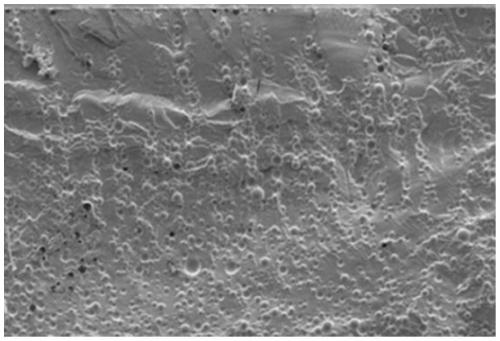 Preparation method of polymer blend gradient functional composite material