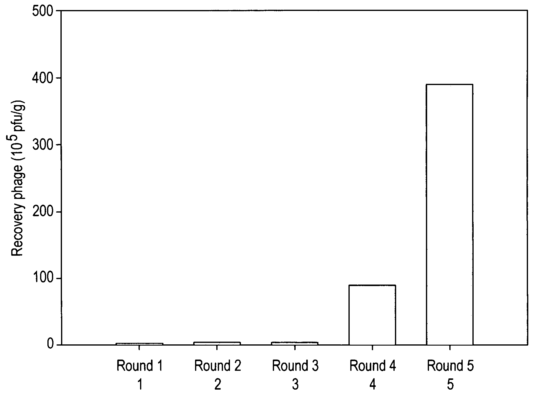 Peptides that target to tumor blood vessels of lung cancer and applications thereof