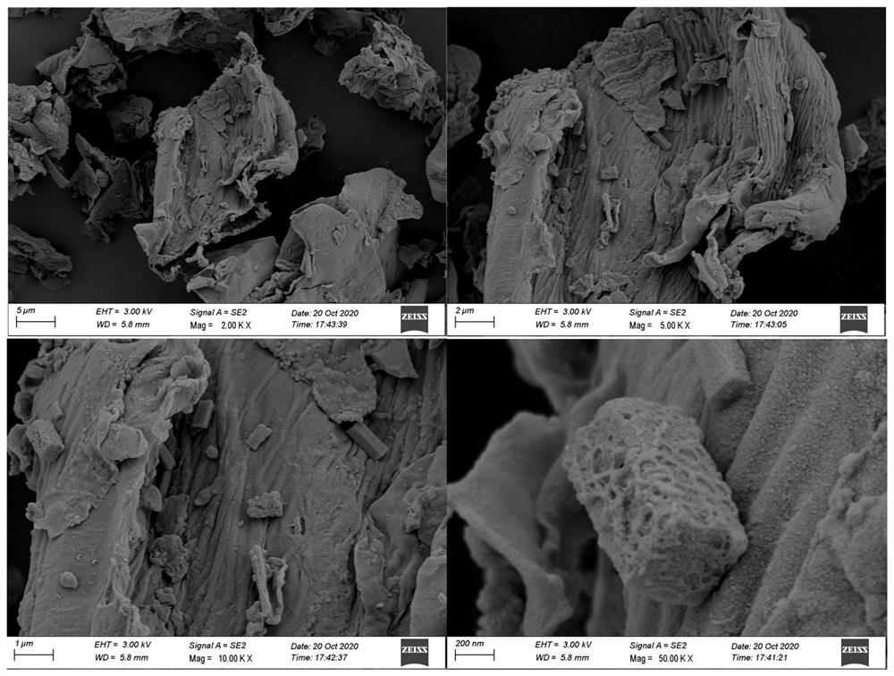 MOFs/water hyacinth derivative material, preparation method thereof and degradation method of organic pollutants