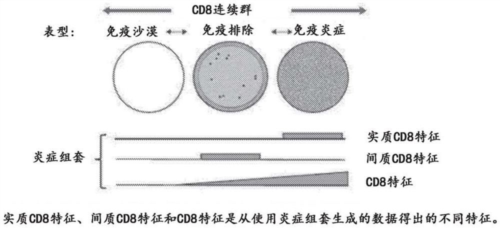 Cell localization features and combination therapy