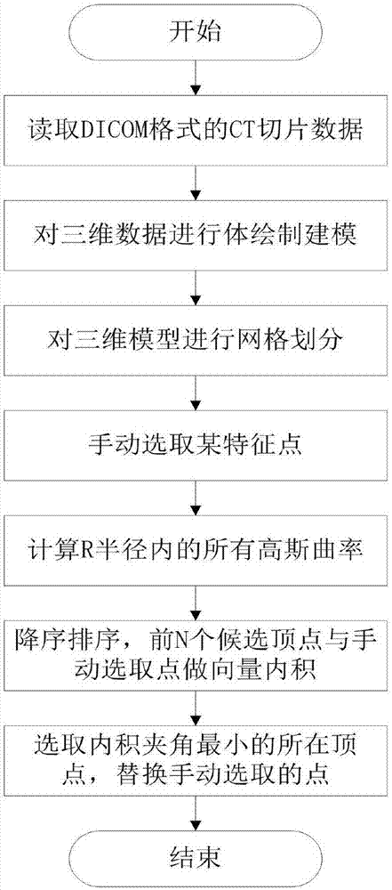 Automatic spine feature point recognition method based on Gauss curvature flow