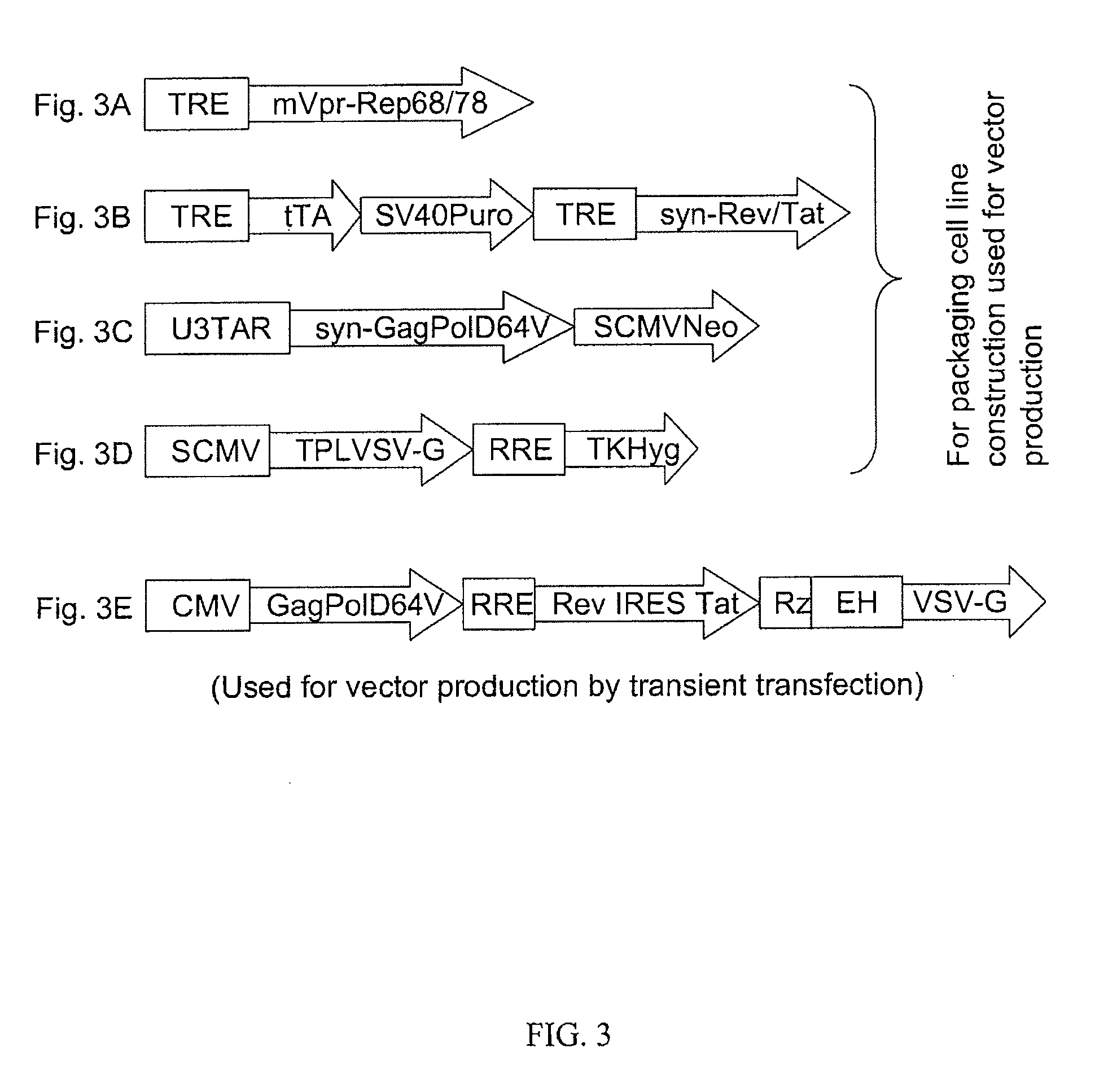 Non-integrating lenti/adeno-associated virus hybrid vector system