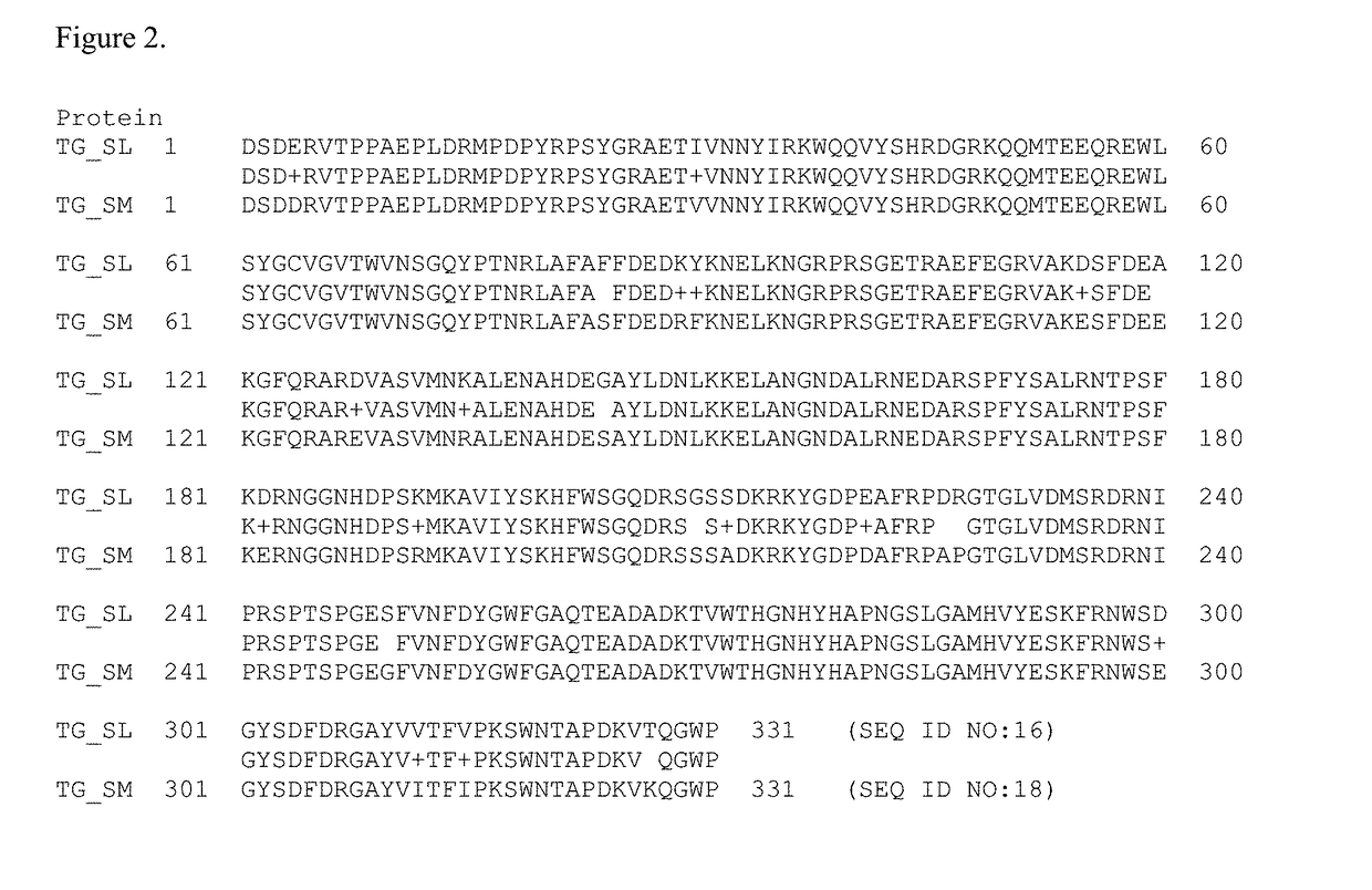 Homogenous antibody drug conjugates via enzymatic methods