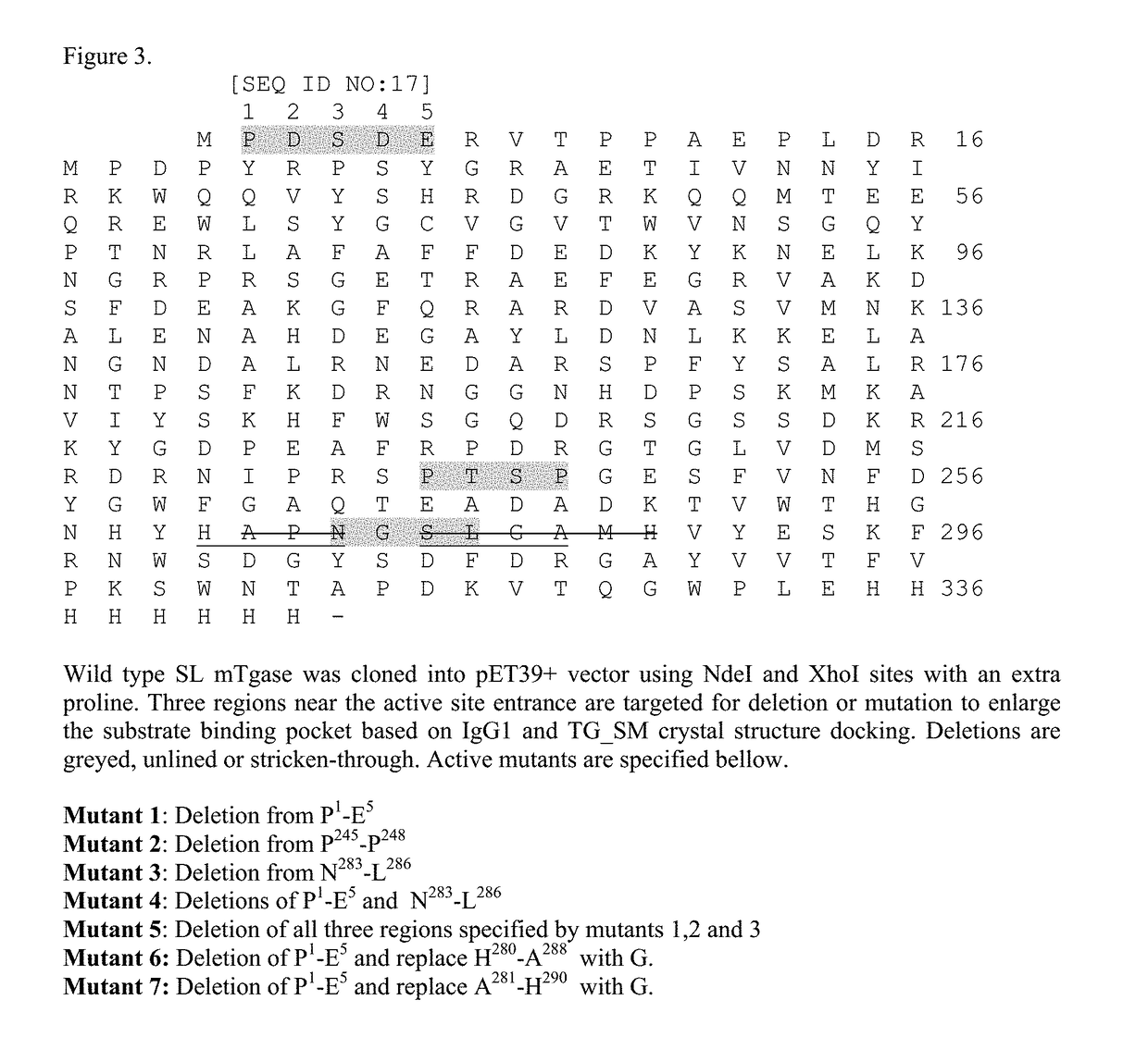 Homogenous antibody drug conjugates via enzymatic methods