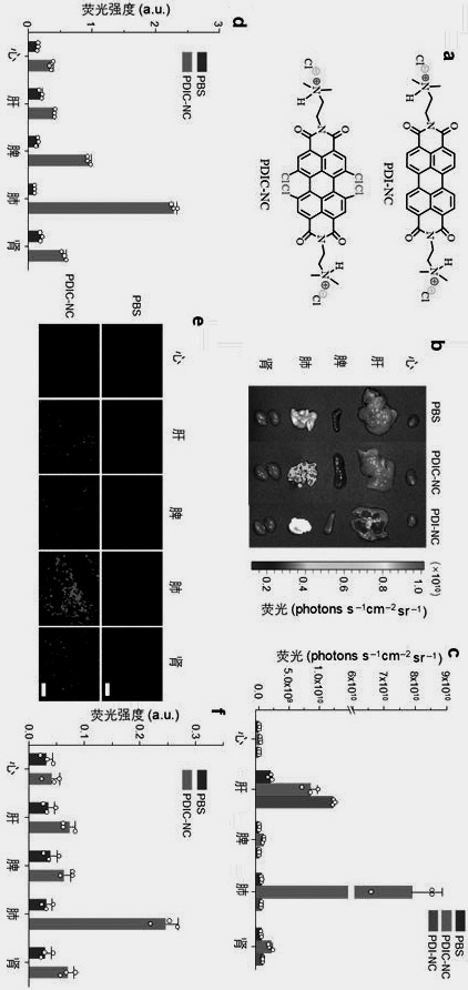 A kind of perylene imide derivative and application