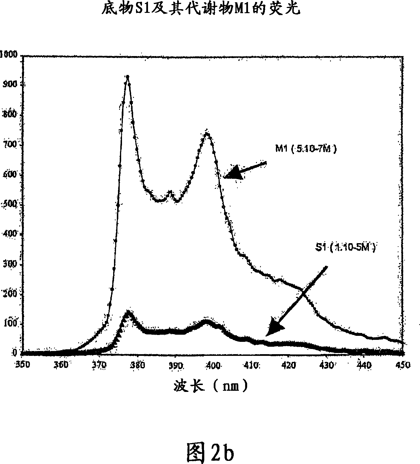 Peptide substrates recognisable by a botulinum toxin A, BoNT/A and the use thereof