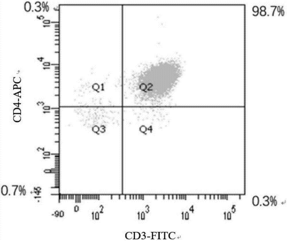 Inhibiting effect of eplerenone for activation/proliferation of helper T cells of chronic heart failure patients