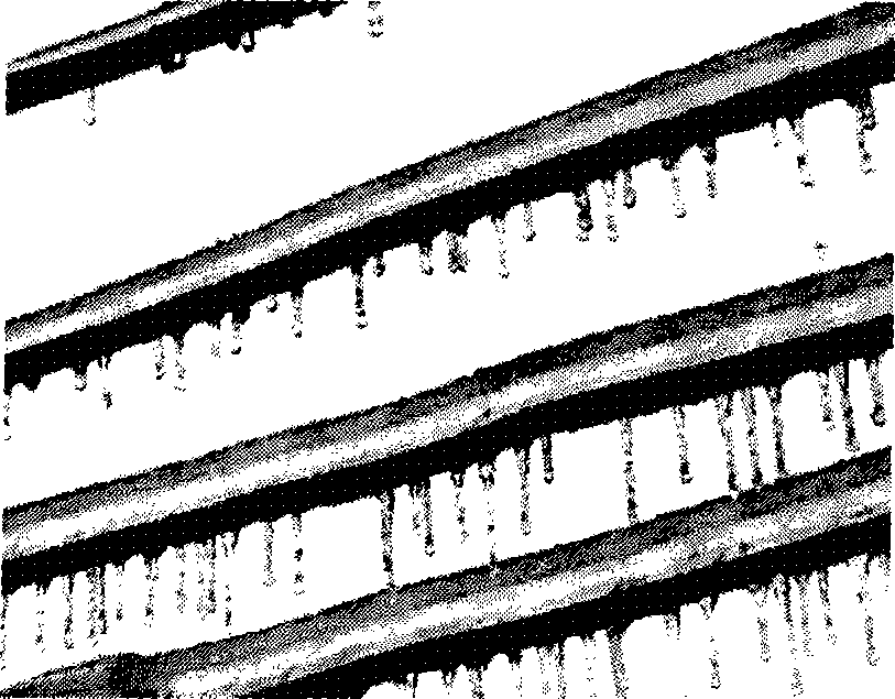 Method for computing electric power line ice-covering thickness by using video image processing technology