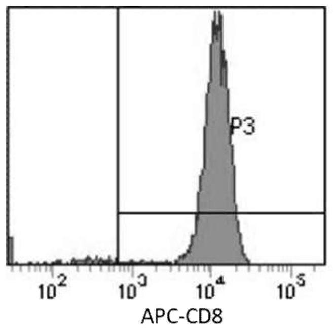 A kind of in vitro expansion and culture method of peripheral blood T cells