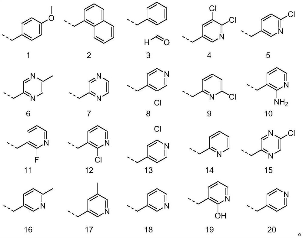 Biphenyl heterocyclic compound as well as synthesis method and application thereof