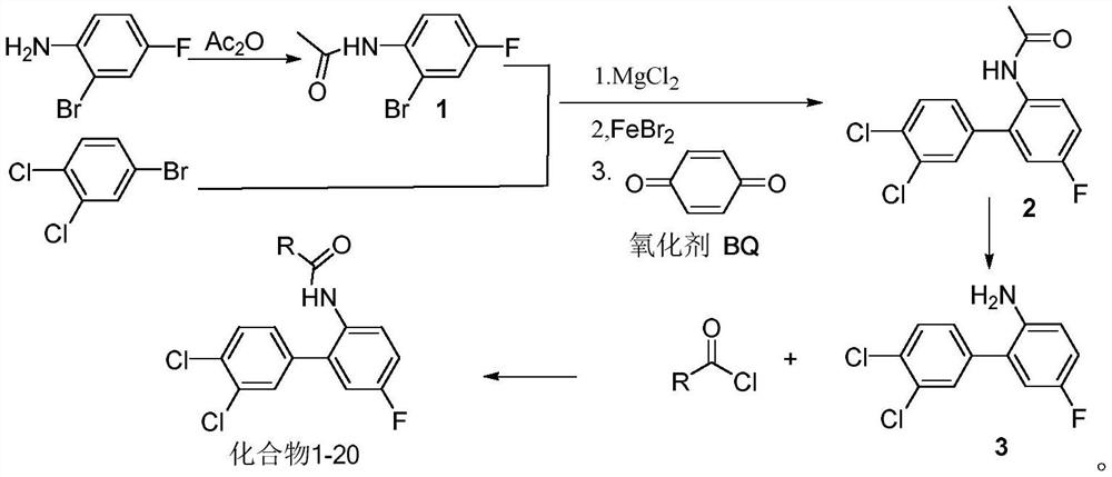 Biphenyl heterocyclic compound as well as synthesis method and application thereof