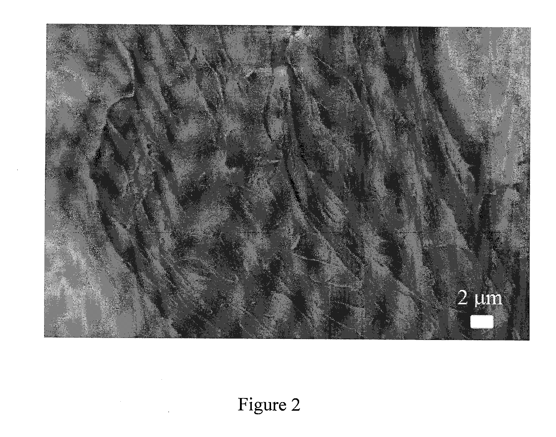 Compositions and methods to cross link polymer fibers