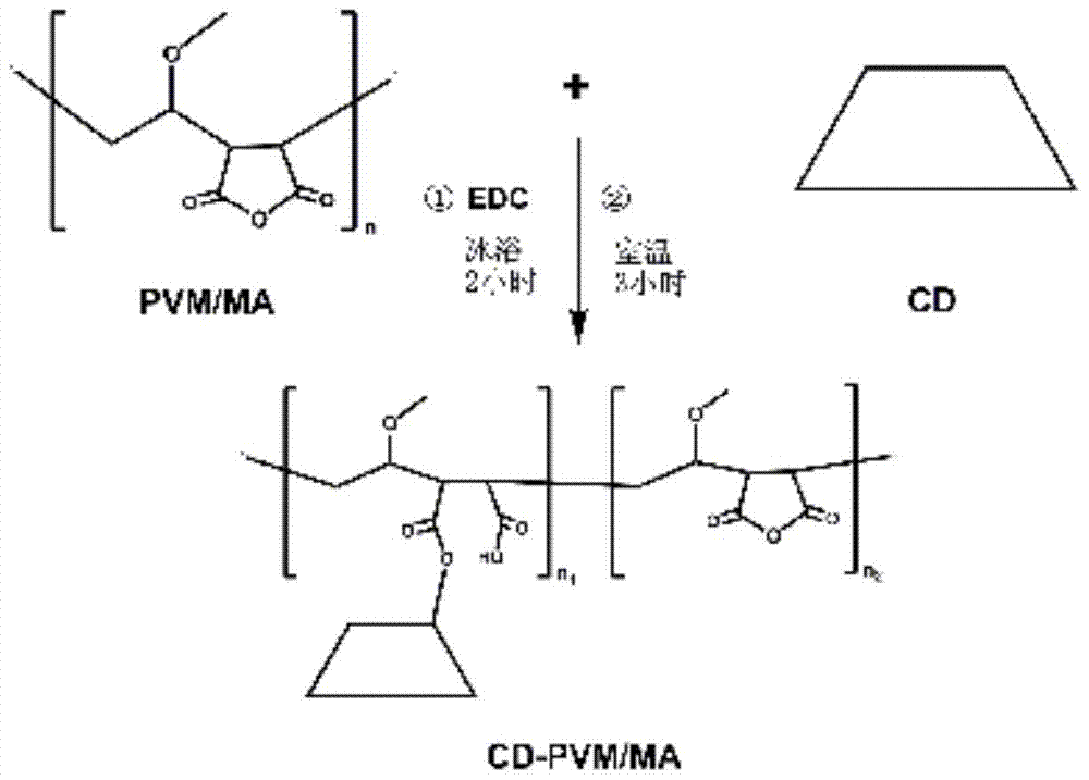 Application of cyclodextrin-methyl vinyl ether/maleic anhydride copolymer and its self-assembled nanoparticles in oral drug delivery