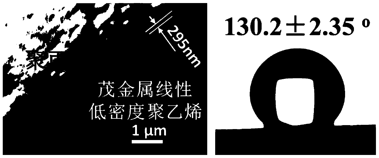 Polyethylene hydrophobic material and preparation method thereof