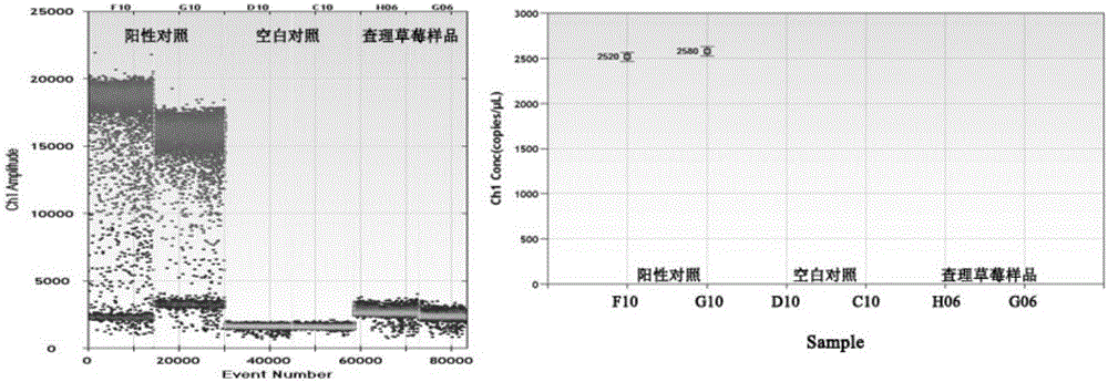 Method for rapidly and quantitatively screening salmonella in strawberry based on microdroplet digital PCR method