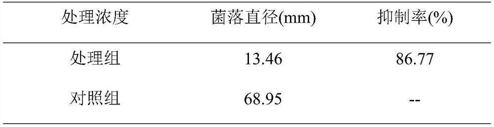 Comamonas strain for preventing and treating tomato fusarium wilt, biocontrol inoculant, preparation method of biocontrol inoculant and application of comamonas strain and biocontrol inoculant