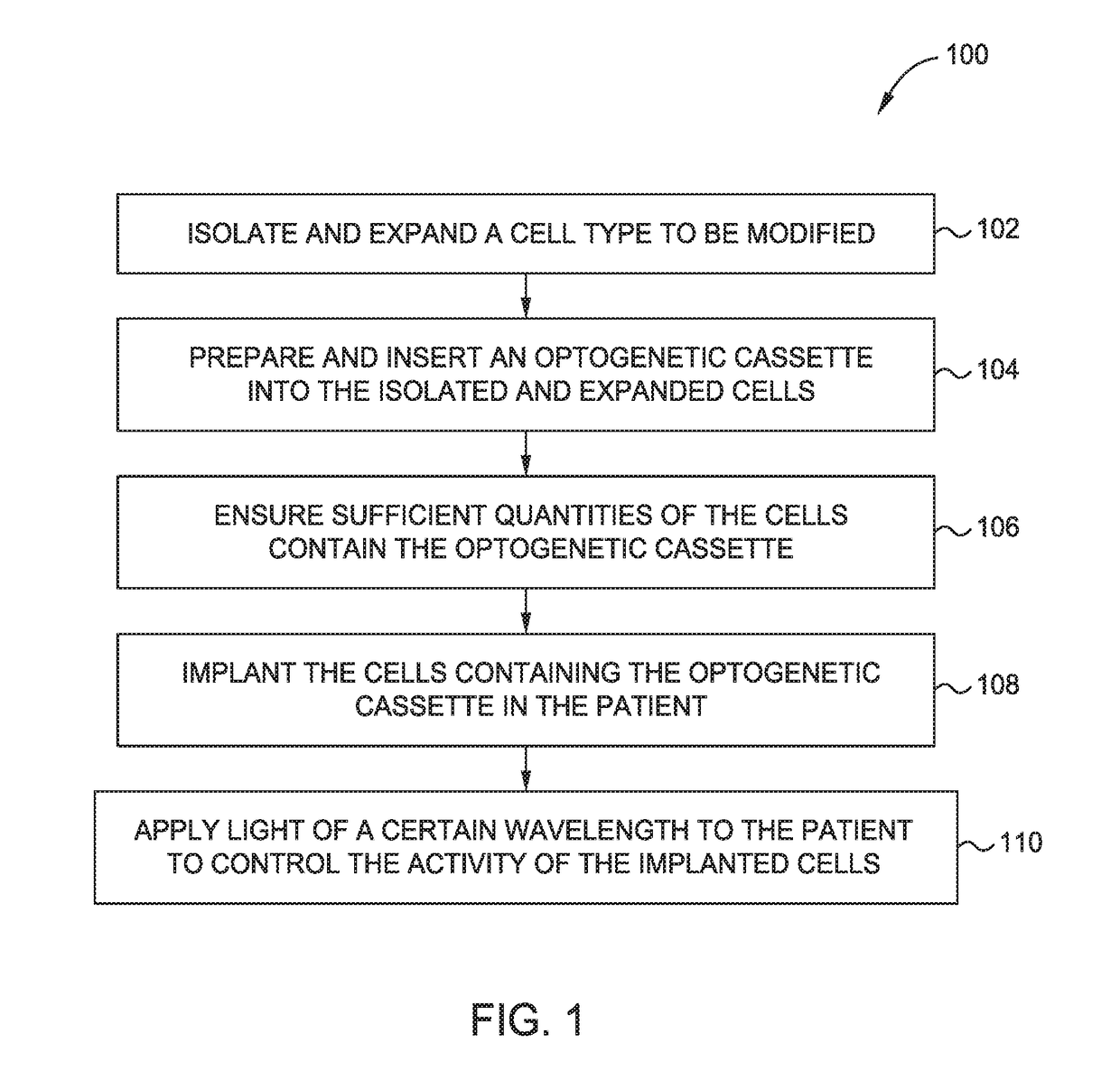 Localized immunosuppression via optogenetically controlled cells