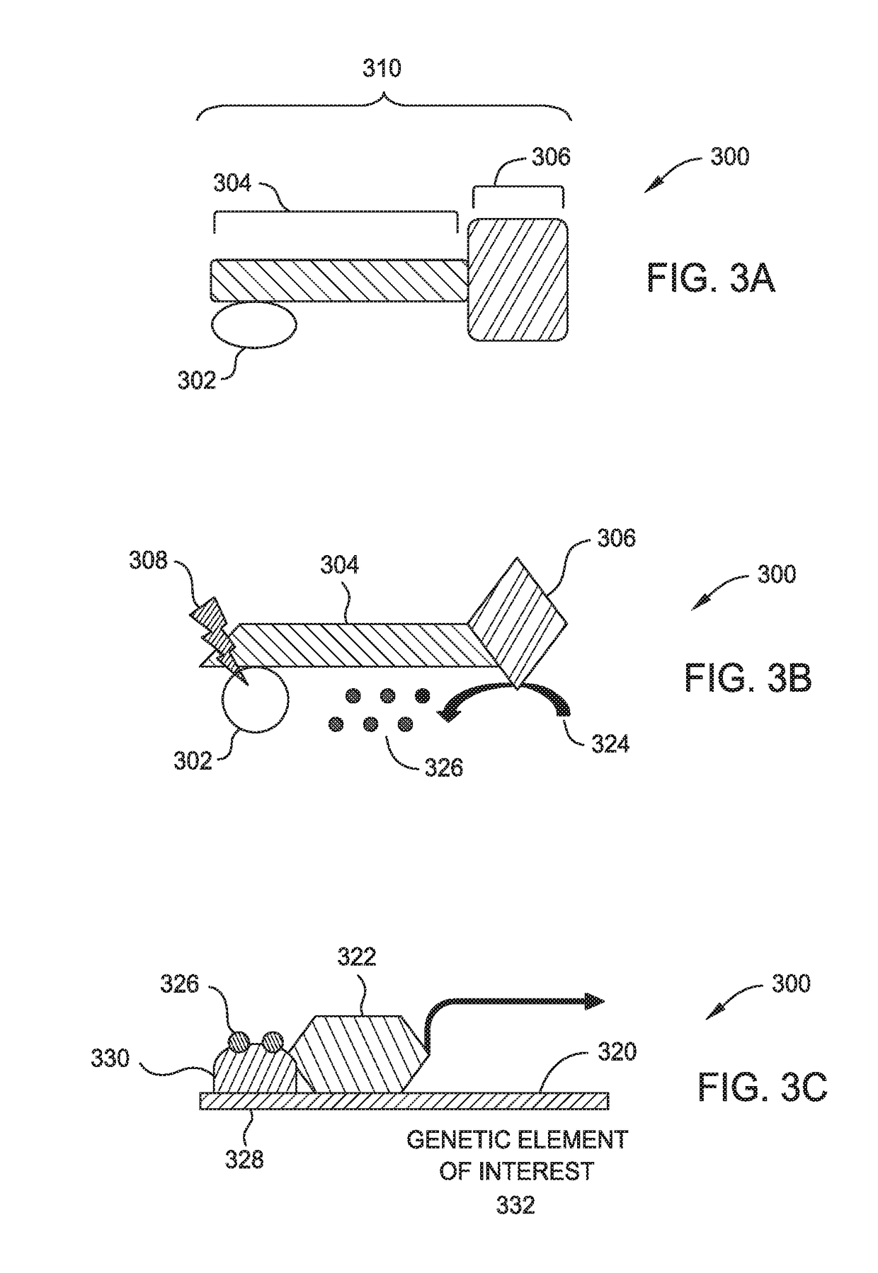 Localized immunosuppression via optogenetically controlled cells