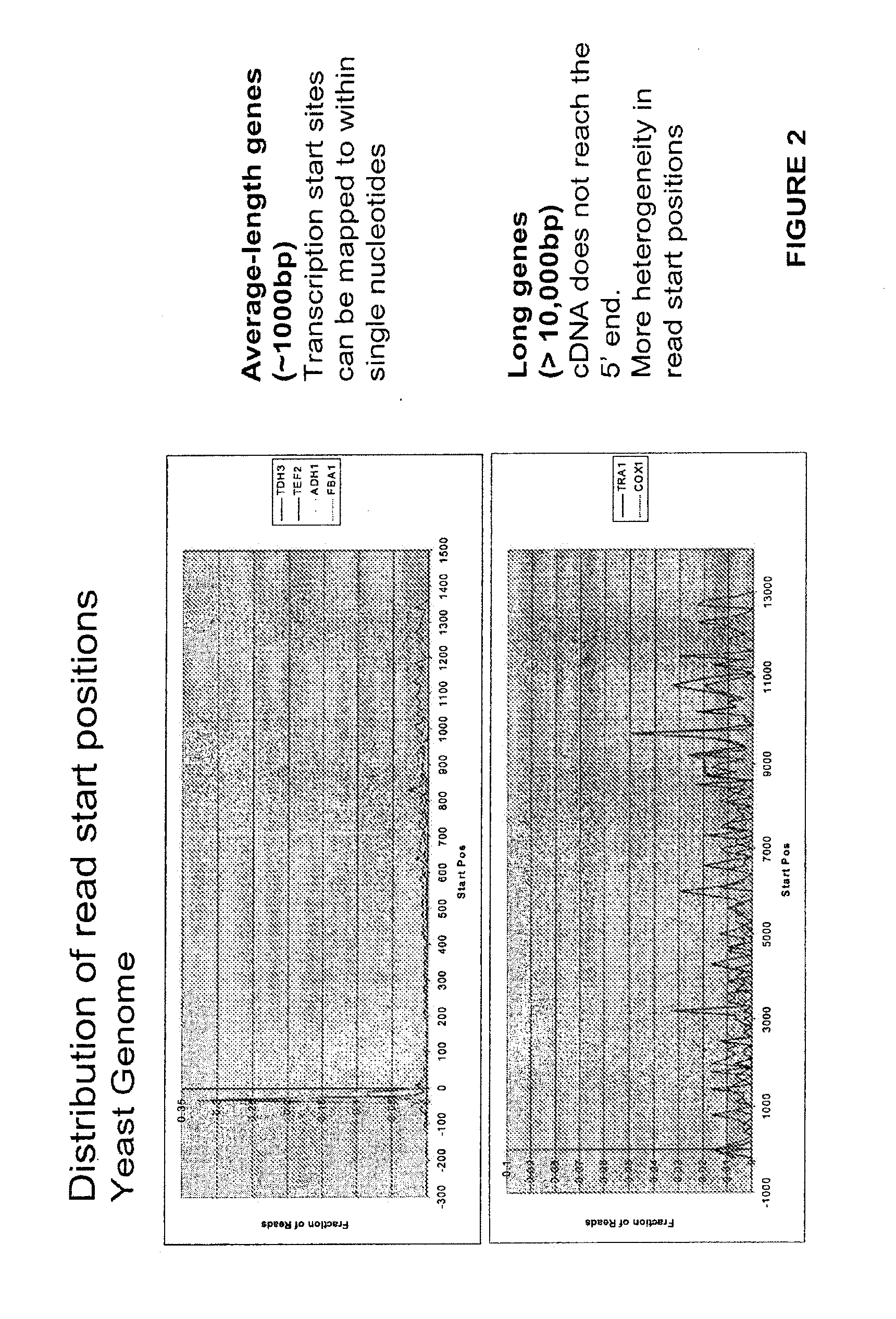 Methods for transcript analysis