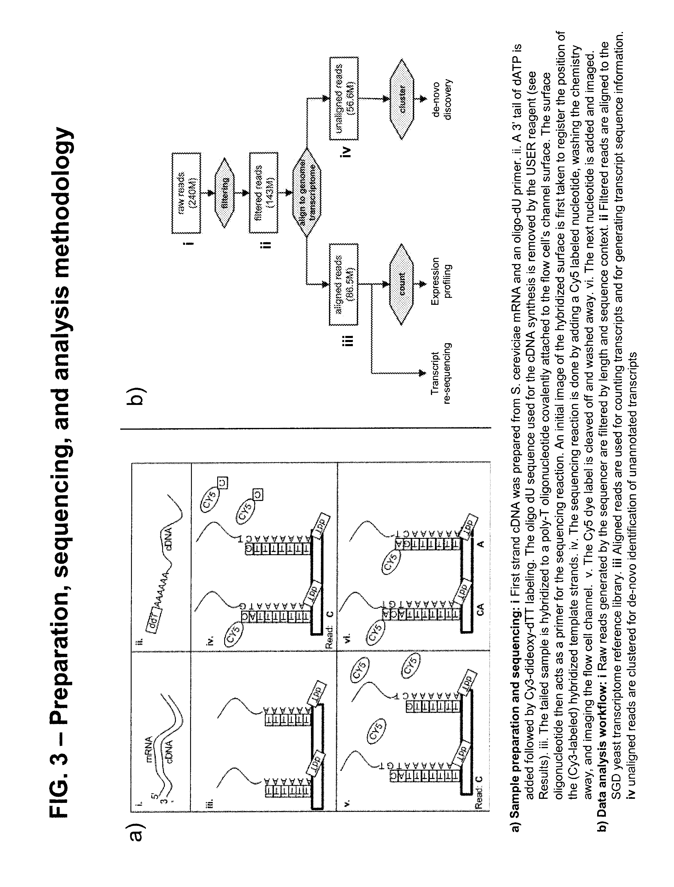 Methods for transcript analysis