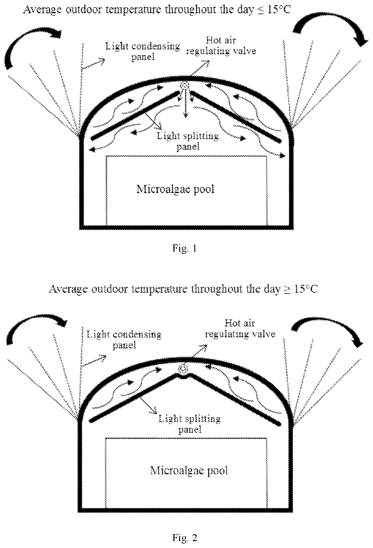 System and Method for Microalgae Carbon Fixation Regulated Based on Natural Environmental Changes