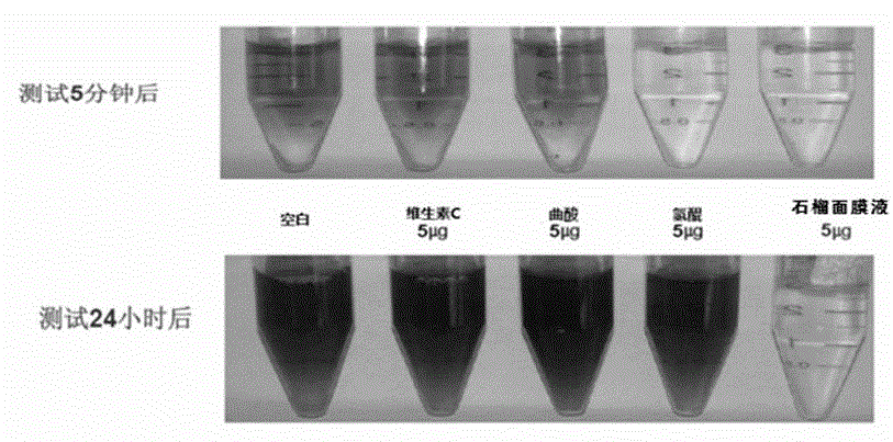 Facial mask containing punica granatum fruit extract and preparation method of facial mask