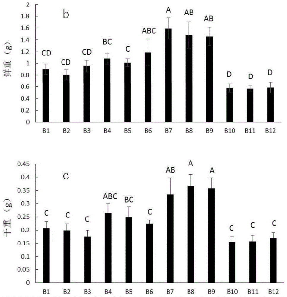 Alfalfa Seed Rhizobium Seed Coating Agent and Its Application