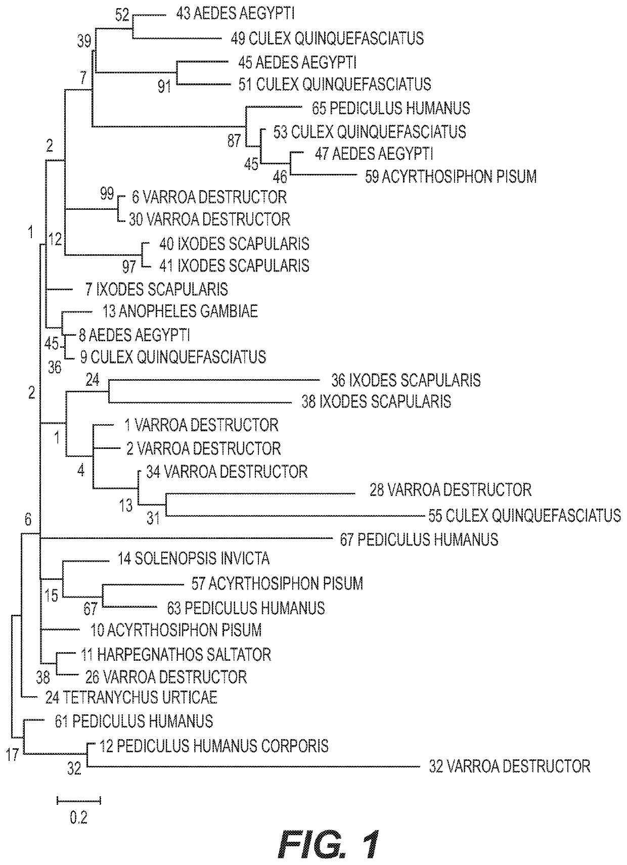 Compositions and methods for controlling arthropod parasite and pest infestations