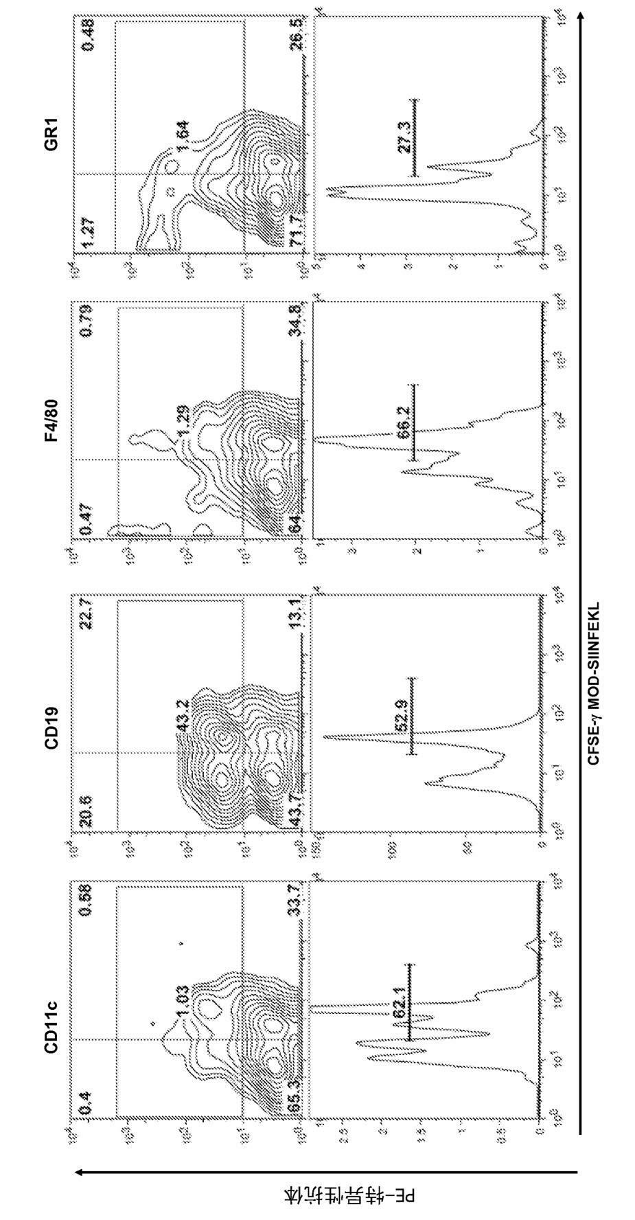 Use of phenol-soluble modulins for vaccine development