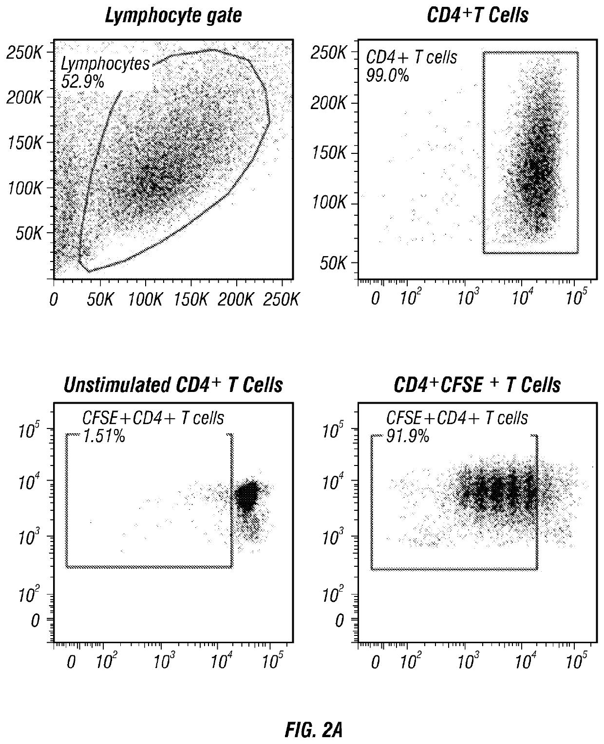 Regulatory b cells and uses thereof