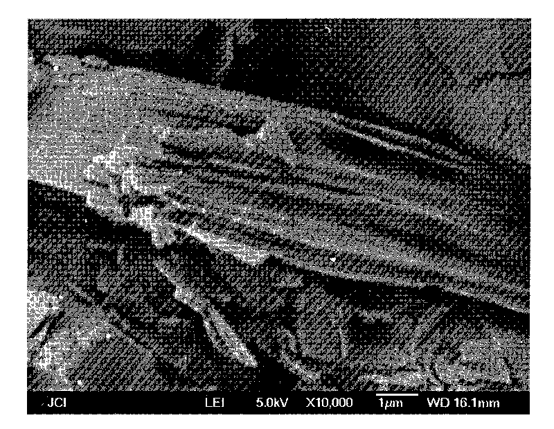 Material with humidifying function and preparation method thereof