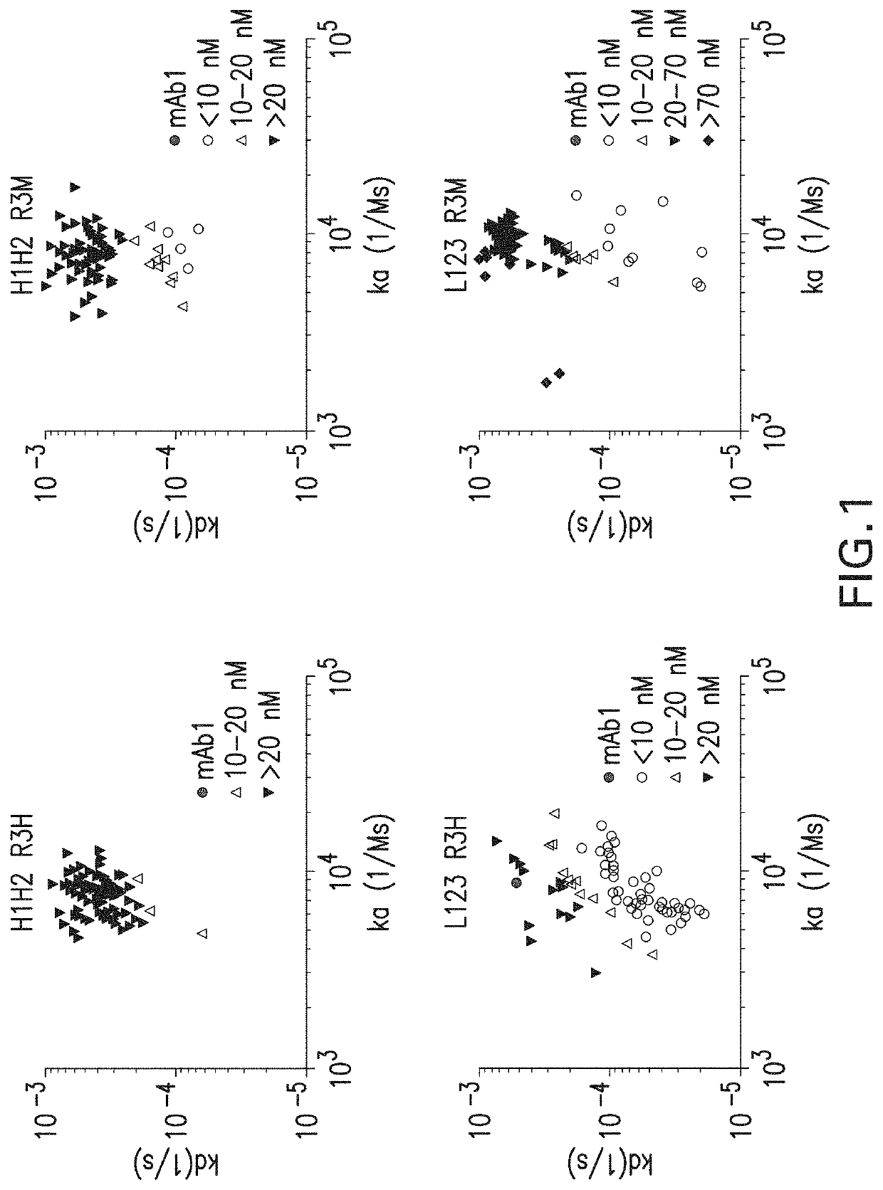 Cd137 antibodies and tumor antigen-targeting antibodies and uses thereof