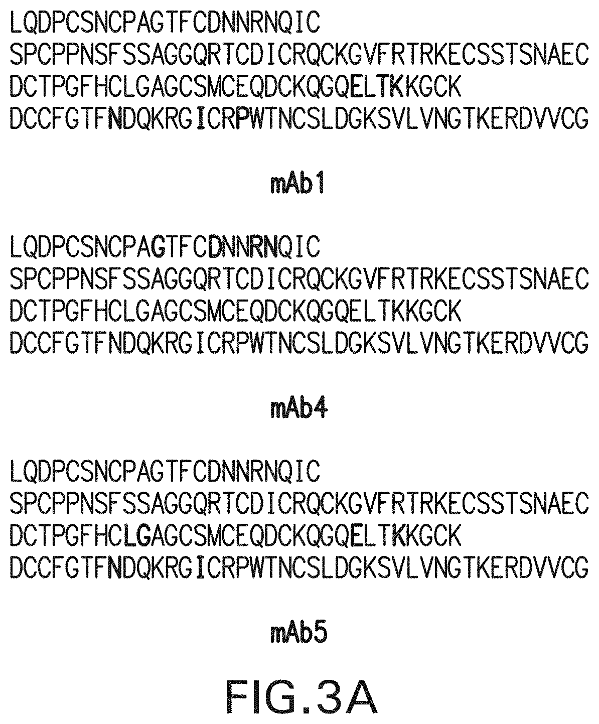 Cd137 antibodies and tumor antigen-targeting antibodies and uses thereof