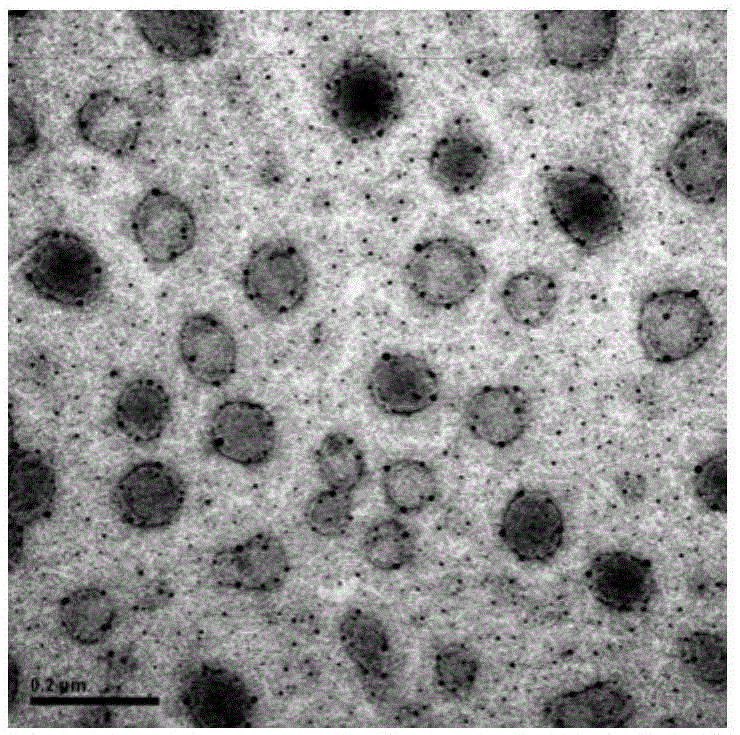 Skeletonema costatum lytic virus and its separation method and use