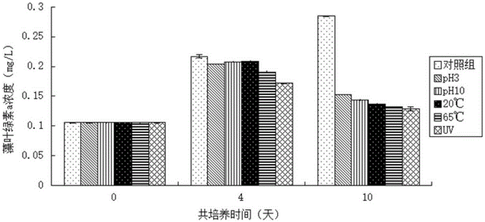 Skeletonema costatum lytic virus and its separation method and use